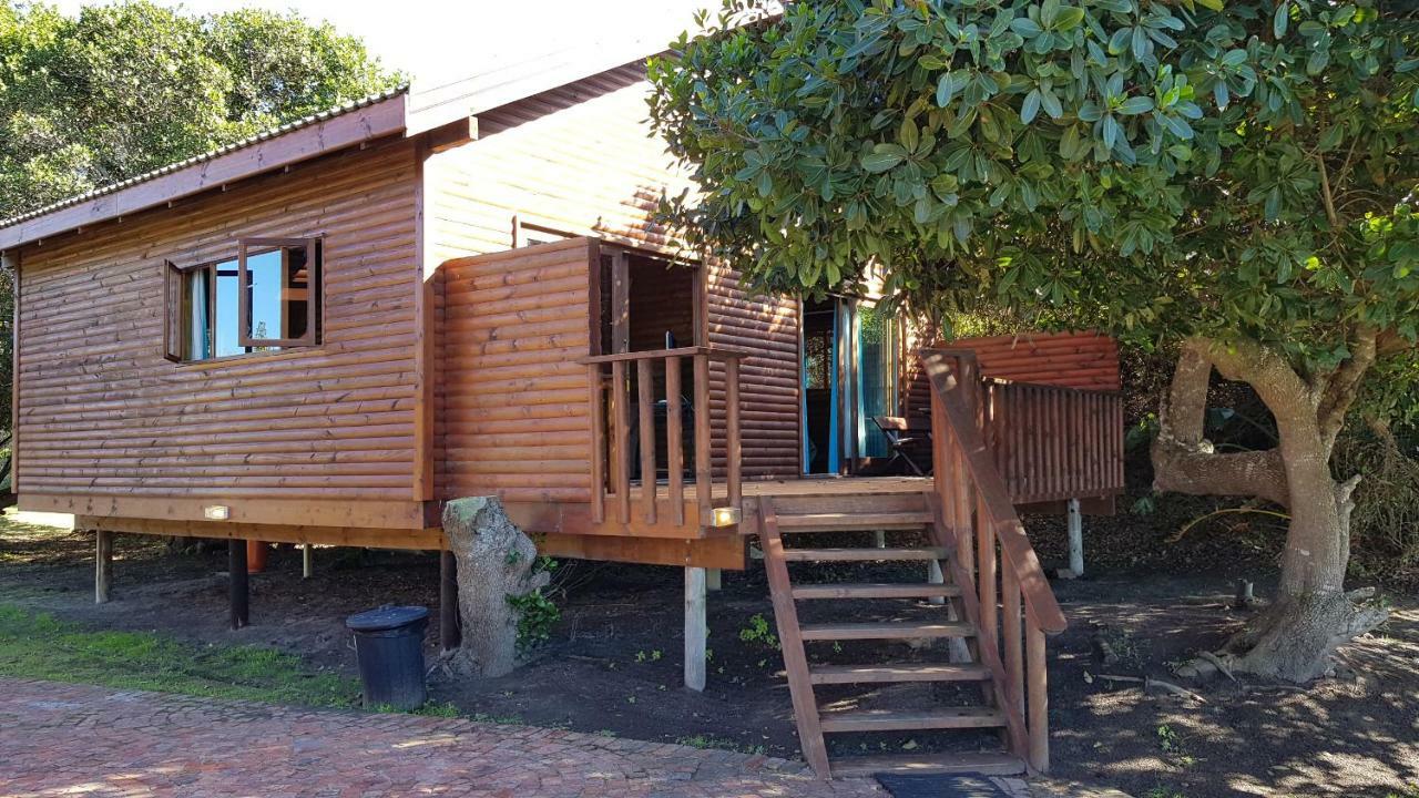 Pirates Creek Self-Catering Chalets 윌더니스 외부 사진